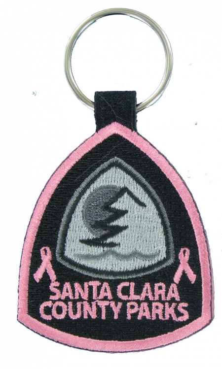 E21996 Santa Clara Police The Emblem Authority